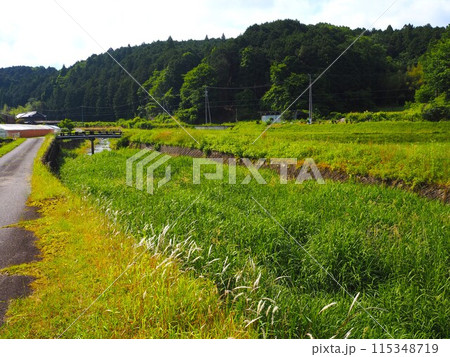 ノスタルジックな風景 115348719