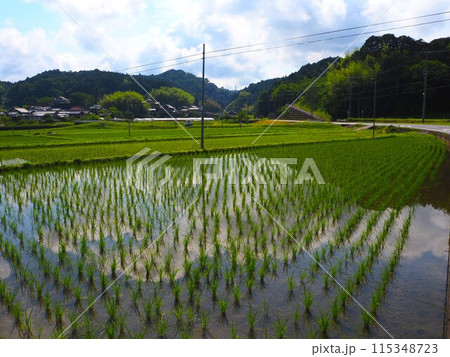 ノスタルジックな風景 115348723