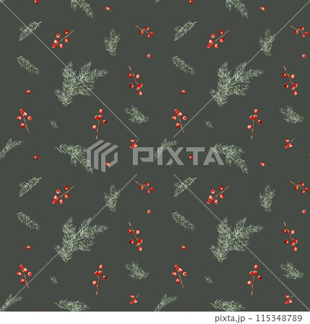 Watercolor seamless pattern of branches with Christmas red berries of ilex and fir tree branches. Hand drawing illustration on isolated background. Repeat pattern of Winter New Year plant. 115348789