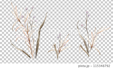 Set of watercolor fantasy botanical illustration branches and light purple flowers. Lilac circle floral illustration. Fall vibes. Hand painted drawing isolated on background. floral herds pastel color 115348792