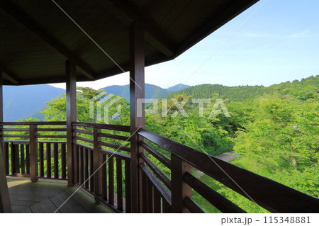 神奈川県・秦野市・菜の花台展望台 115348881