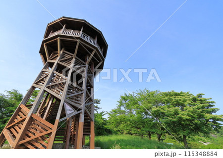神奈川県・秦野市・菜の花台展望台 115348884