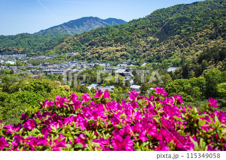 【京都風景】蹴上浄水場のつつじ 115349058