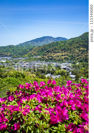 【京都風景】蹴上浄水場のつつじ 115349060