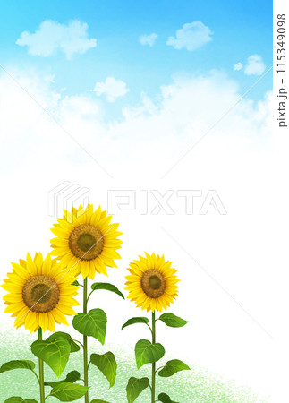 ひまわりと入道雲　夏の背景　縦長 115349098