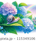 紫陽花とカタツムリ 115349106