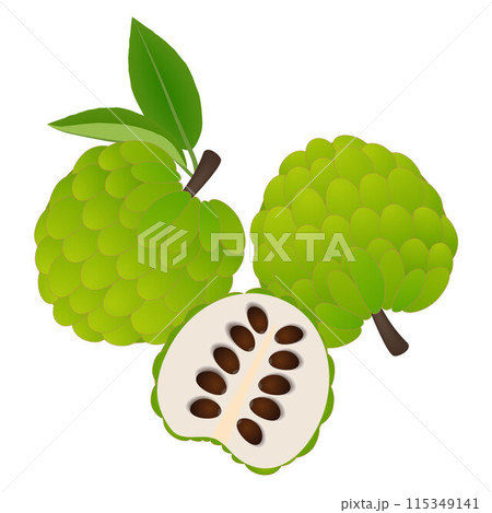 Whole cherimoya fruits and half on a white background. 115349141