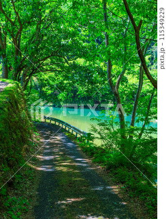 川沿いの道路 川沿いの道路 115349229