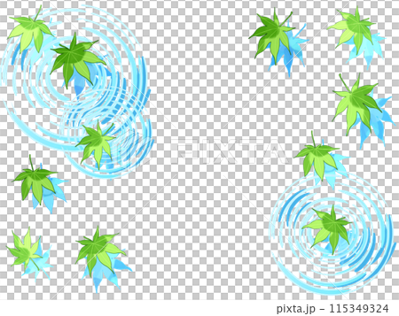 Green maple leaves and water ripples Green maple leaves and water ripples 115349324