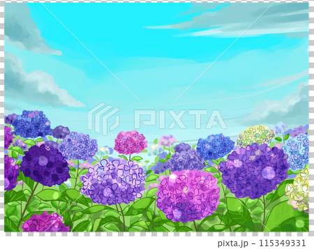 Hydrangea flowers and blue sky 115349331