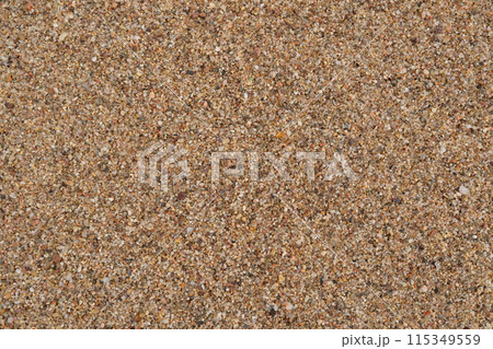 Texture of wet sand on a beach top view Texture of wet sand on a beach top view 115349559