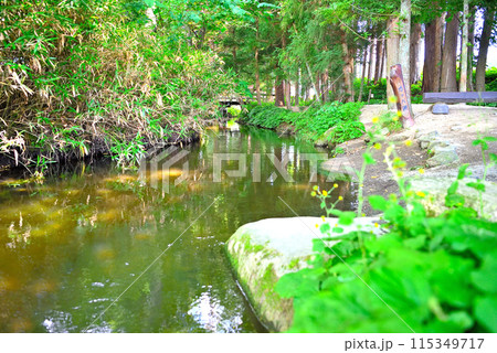 東北・遠野・カッパ淵・眺めると河童がいた時代にタイムスリップする遠野物語の風景・岩手県遠野市(4) 東北・遠野・カッパ淵・眺めると河童がいた時代にタイムスリップする遠野物語の風景・岩手県遠野市(4) 115349717