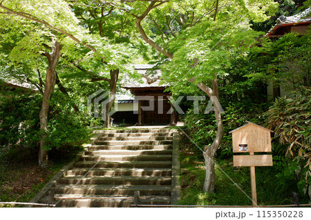 鎌倉　円覚寺・居士林 115350228