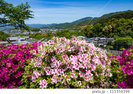 【京都風景】蹴上浄水場のつつじ 【京都風景】蹴上浄水場のつつじ 115350399