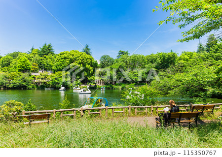 吉祥寺 休日の井の頭公園 吉祥寺 休日の井の頭公園 115350767