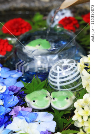 花手水786 花手水786 115350872