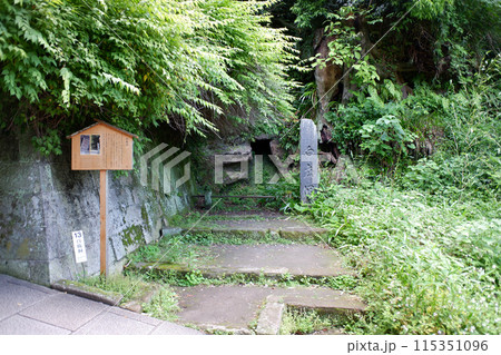 鎌倉 円覚寺・白鹿洞 鎌倉 円覚寺・白鹿洞 115351096