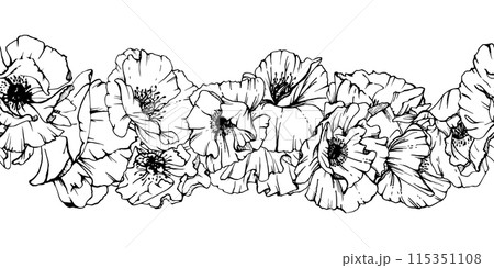 Hand drawn vector graphic botanical illustration flowers leaves. Red poppy papaver, stems buds seedpods. Seamless banner isolated white background. Design wedding, cards, remembrance day stationery 115351108