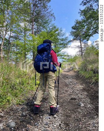 登山をする女の子 登山をする女の子 115351222