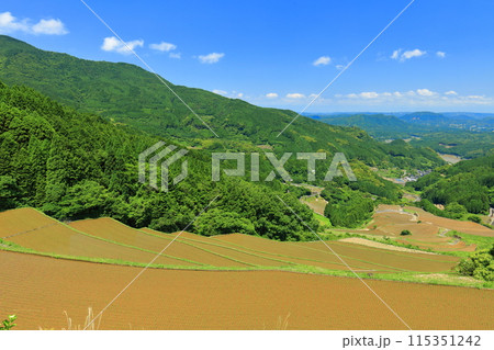【佐賀県】田植え時期の蕨野の棚田 【佐賀県】田植え時期の蕨野の棚田 115351242