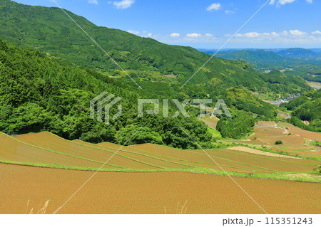 【佐賀県】田植え時期の蕨野の棚田 115351243