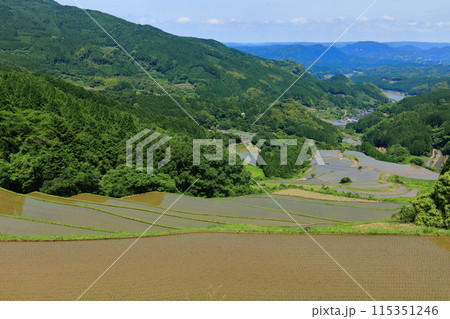 【佐賀県】田植え時期の蕨野の棚田 115351246