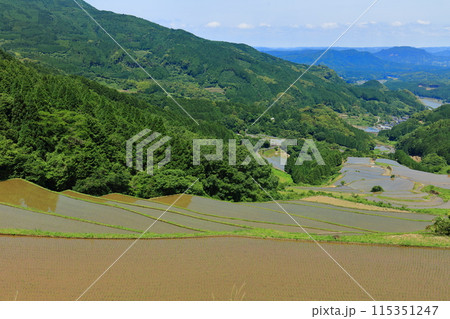 【佐賀県】田植え時期の蕨野の棚田 115351247