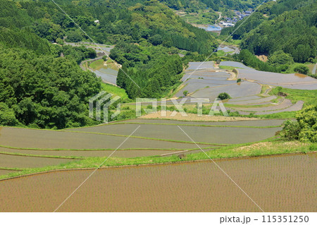 【佐賀県】田植え時期の蕨野の棚田 115351250