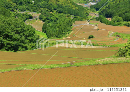 【佐賀県】田植え時期の蕨野の棚田 115351251