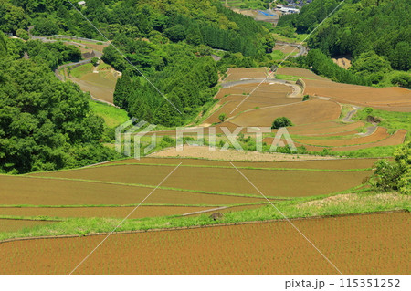 【佐賀県】田植え時期の蕨野の棚田 115351252