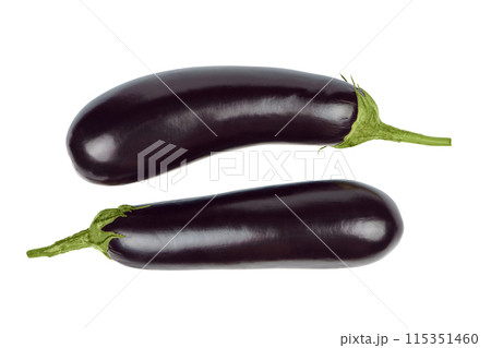 Two fresh raw healthy eggplants or aubergine vegetable isolated on  white background 115351460