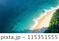 Tropical seascape in aerial perspective. AI generated illustration 115351555