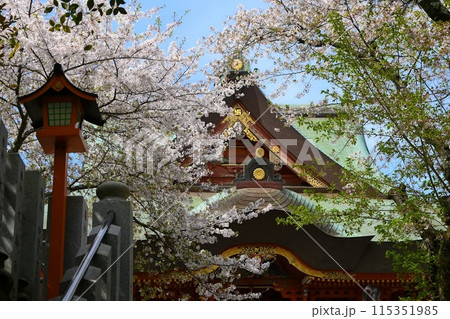 桜に囲まれた神社と青空 桜に囲まれた神社と青空 115351985
