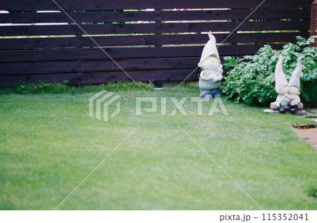 芝生のある庭 115352041