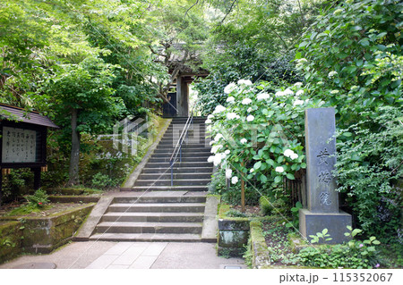 鎌倉 円覚寺・黄梅院 鎌倉 円覚寺・黄梅院 115352067