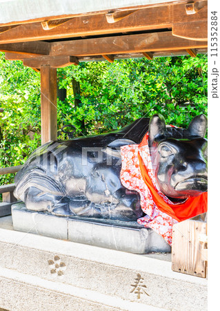 京都市上京区馬喰町の北野天満宮　御神牛（なで牛） 115352884