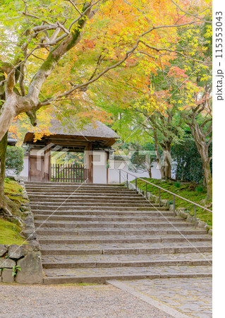 京都市左京区 東山 住連山安楽寺 山門と紅葉 京都市左京区 東山 住連山安楽寺 山門と紅葉 115353043