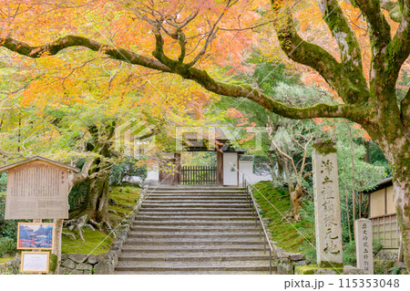 京都市左京区 東山 住連山安楽寺 山門と紅葉 京都市左京区 東山 住連山安楽寺 山門と紅葉 115353048