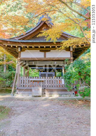 京都市北区上賀茂本山の上賀茂神社 賀茂山口神社(澤田社)の紅葉 京都市北区上賀茂本山の上賀茂神社 賀茂山口神社(澤田社)の紅葉 115353053