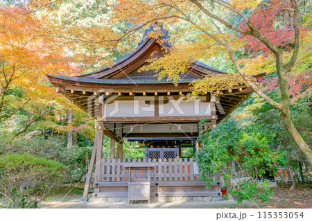 京都市北区上賀茂本山の上賀茂神社　賀茂山口神社（澤田社）の紅葉 115353054