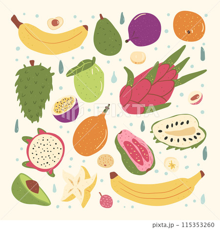 Tropical fruits. Set of exotic sweet dessert square composition. Vector hand drawn flat collection illustration. 115353260