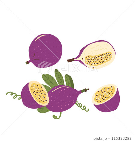 Passion fruit isolated on white background. Set of exotic sweet dessert. Whole and slice of ripe tropical passionfruit. Vector hand drawn illustration. 115353282