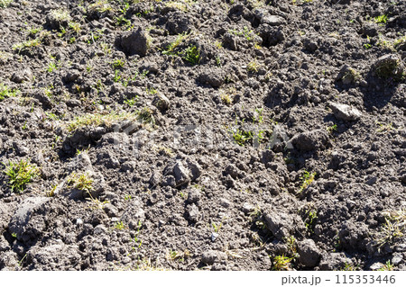 above view of dried plowed earth on garden 115353446