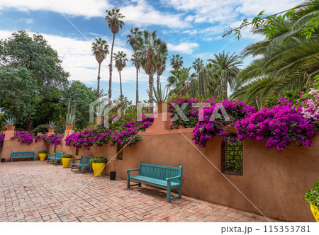 The walls are covered with purple-red bougainvillea flowers. 115353781