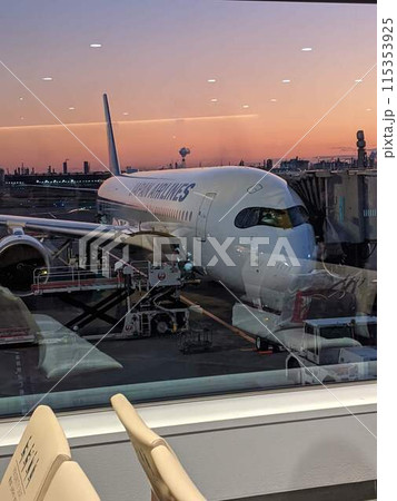 飛行機 115353925