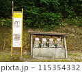 森のバス停 115354332