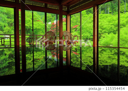 【佐賀県】新緑の環境芸術の森の風遊山荘から見た新緑 【佐賀県】新緑の環境芸術の森の風遊山荘から見た新緑 115354454