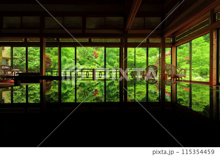 【佐賀県】新緑の環境芸術の森の風遊山荘から見た新緑 115354459