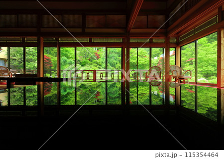 【佐賀県】新緑の環境芸術の森の風遊山荘から見た新緑 【佐賀県】新緑の環境芸術の森の風遊山荘から見た新緑 115354464