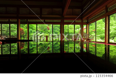 【佐賀県】新緑の環境芸術の森の風遊山荘から見た新緑 115354466